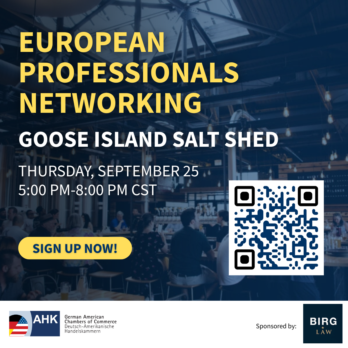 European Professionals Networking